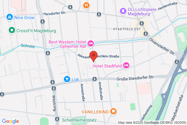 Home Instead (Magdeburg)