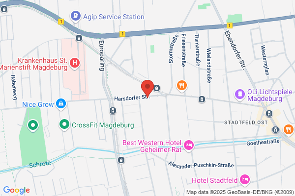 Goethe-Apotheke Magdeburg, Inh.: Hannes Gröpler e.K.