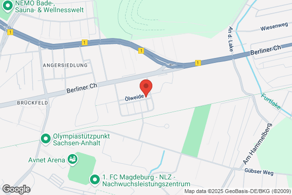 SEO Magdeburg