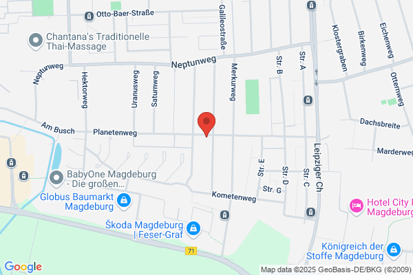 Ringel Immobilien