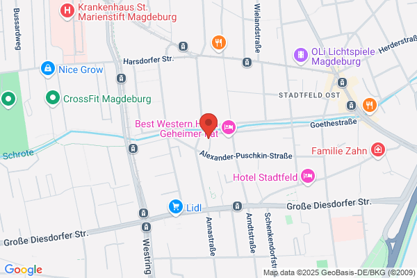 Stadtfelder Zwerge