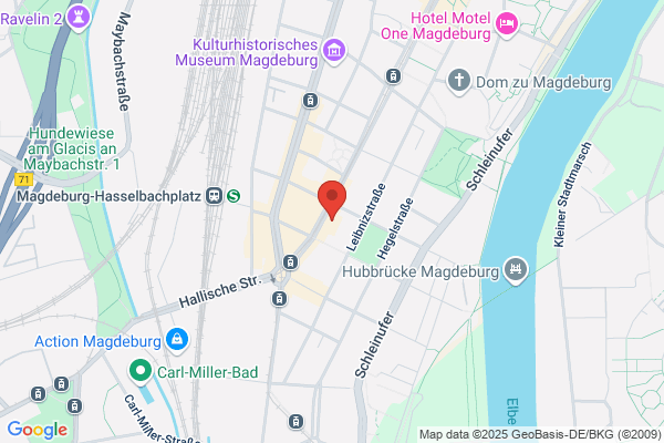 Domino's Pizza Magdeburg Altstadt