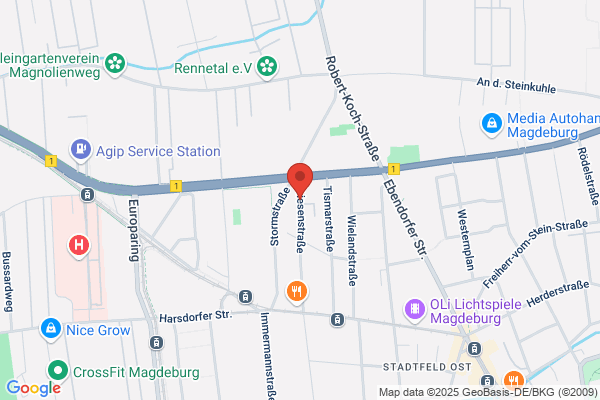 Rangiertechnik Magdeburg GmbH