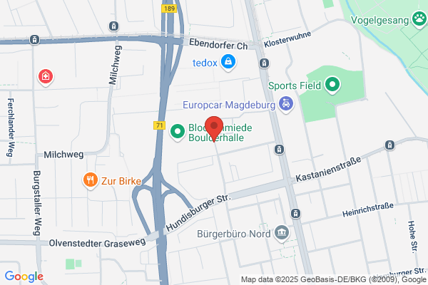 Scherrer Magdeburg
