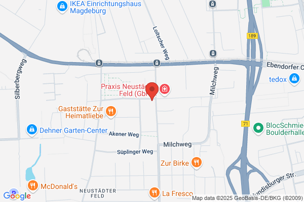 Faust Kurt