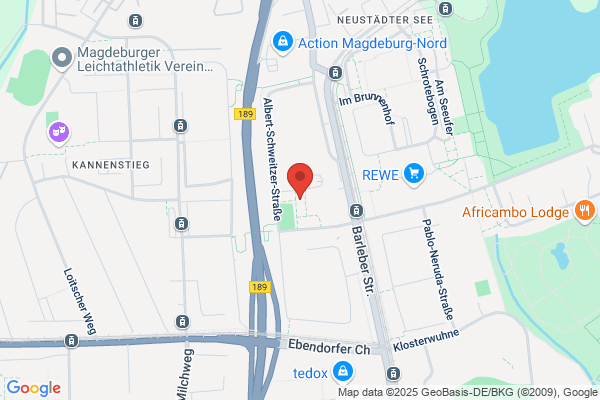 Hansi Boese