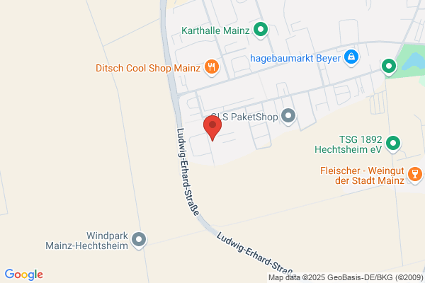 Autowerkstatt Puzzo