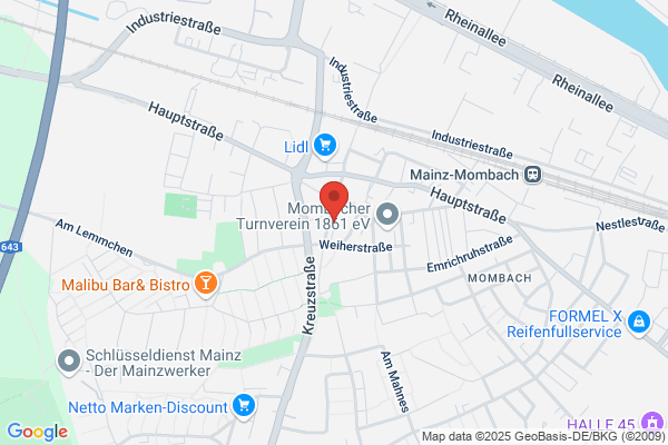Barf Insel Mainz
