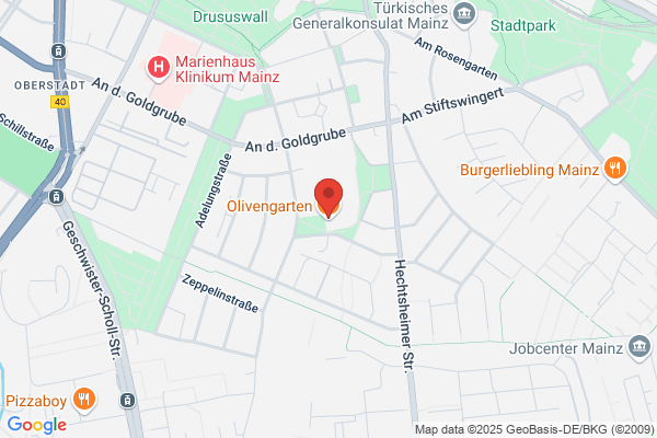 Tennis-Club TSC Mainz