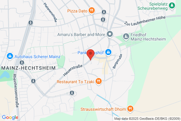 mainz-net