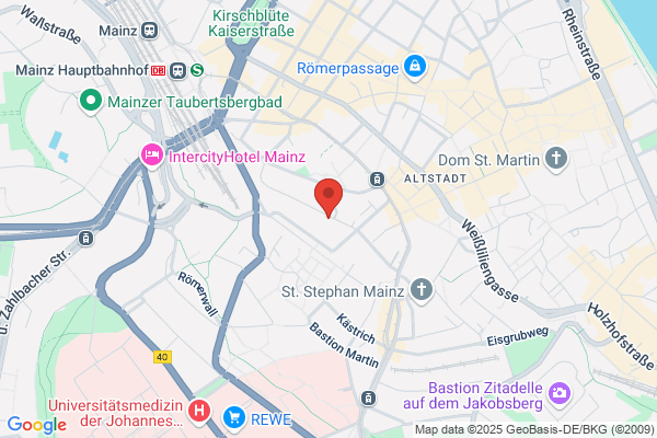 Aiki Dojo Mainz, Jirka Friedl