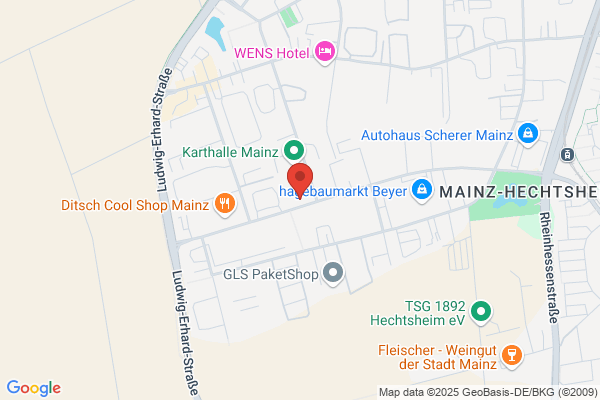 DSG Detector Systems GmbH