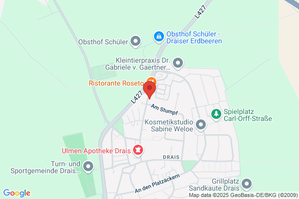 Musikladen in Drais