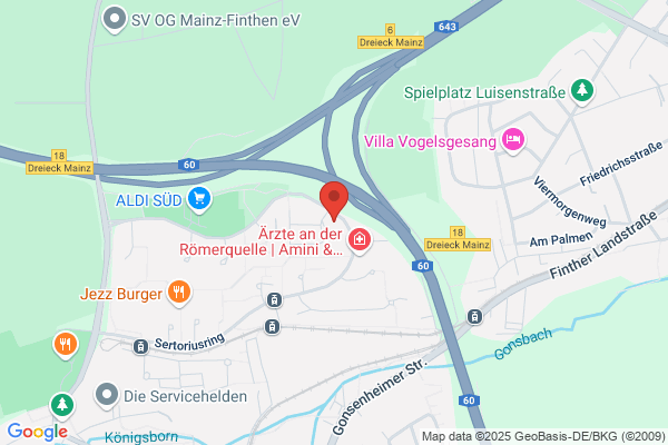 Entwicklungsberatung Mainz Dr.