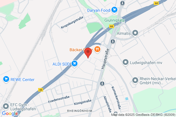ABEX PFEIFFER & MAY Mannheim GmbH + Co. KG - Ludwigshafen