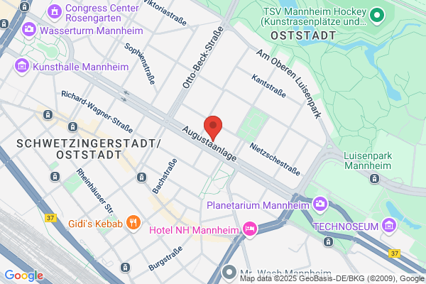 Mannheimer Parkpiraten Kindertagespflege