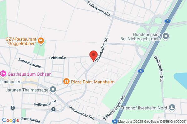 Zehender