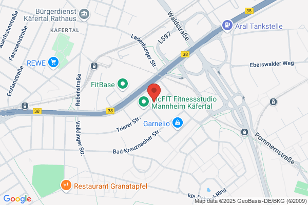 SAUTER FM GmbH Mannheim