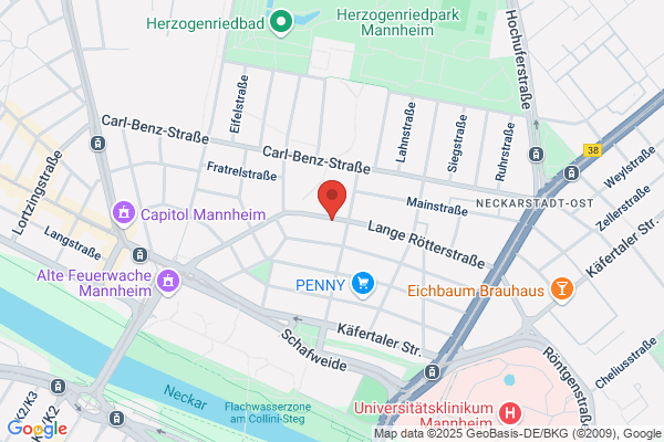 Der Schülerscout (Neckarstadt)