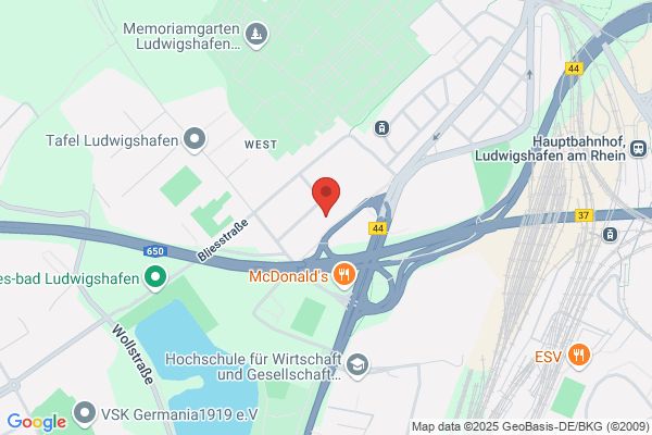 Home Instead (Ludwigshafen)