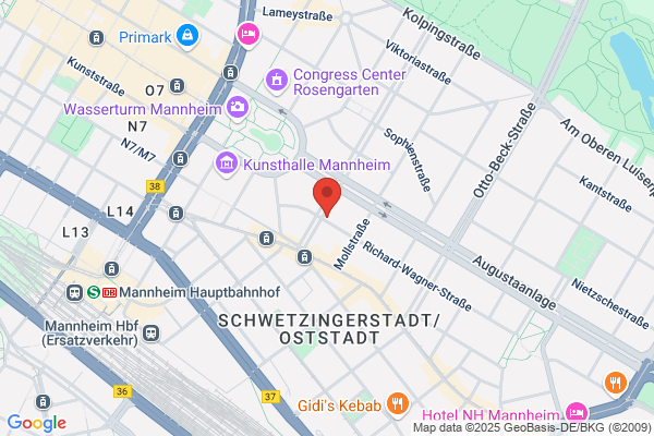 Rechtsanwaltskanzlei mannheim law