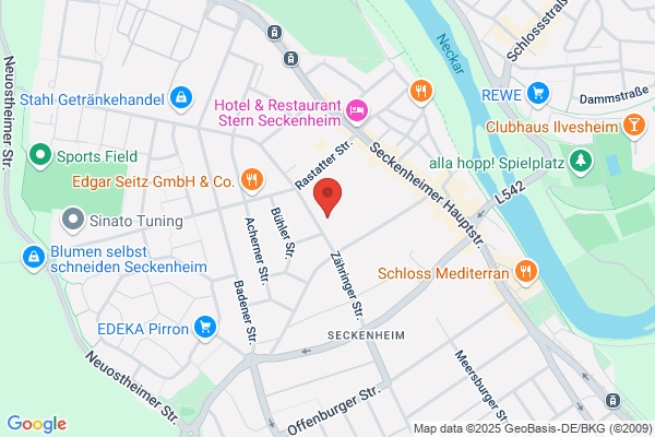 Seckenheimschule