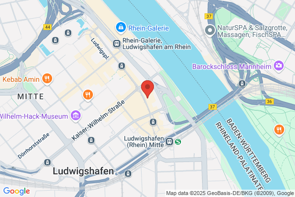 AfD Ludwigshafen