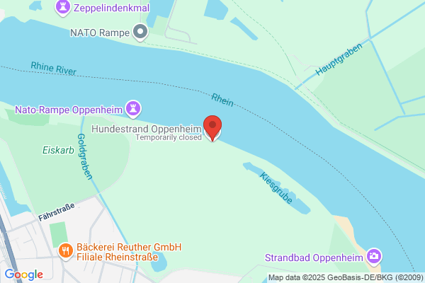hundestrand