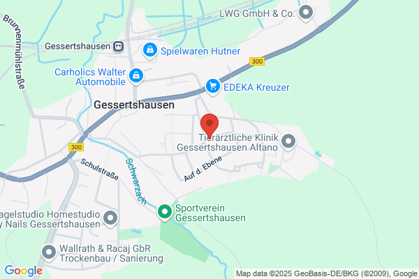 Elektro - Buhl GmbH