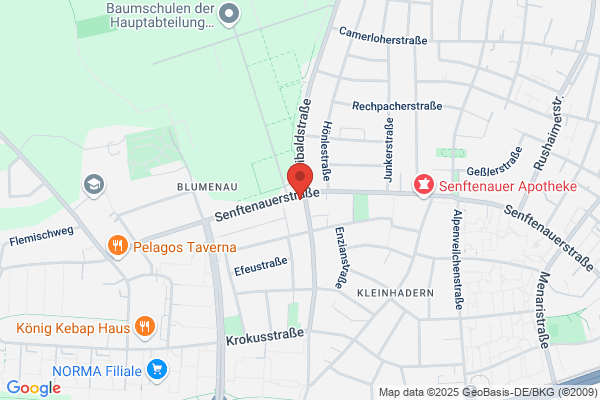 VIP Fahrschule München