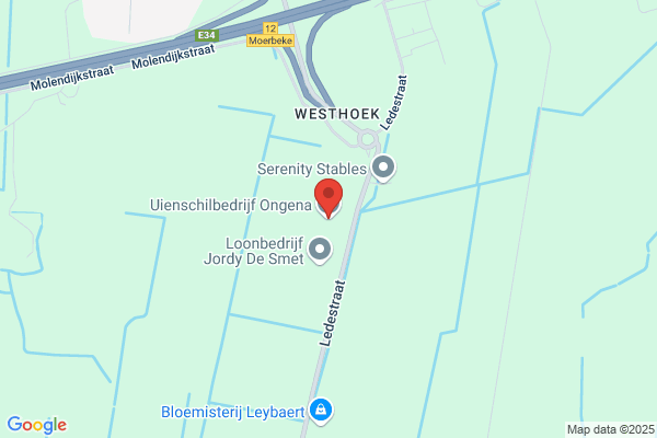 Ongena, Willem Dipl. Ing. Technische Redaktion und Übersetzungen Engl./Niederl.