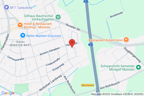 Scherf