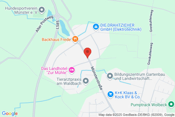 Nutsch