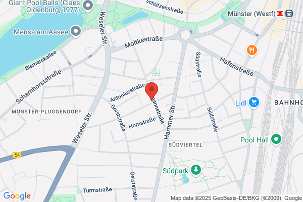 Domann Dr., Friemelt u. Partner