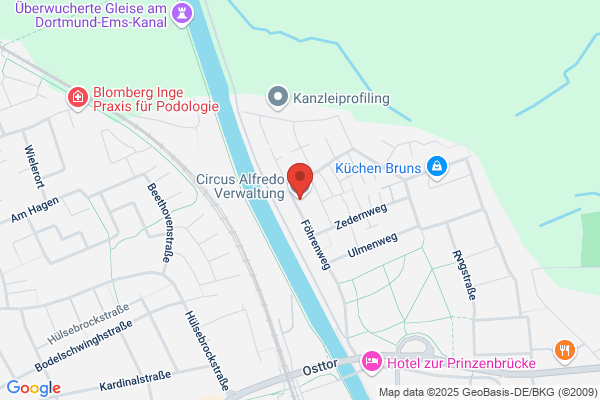 Verein zur Förderung der Jugendcircus Alfredo e.V.