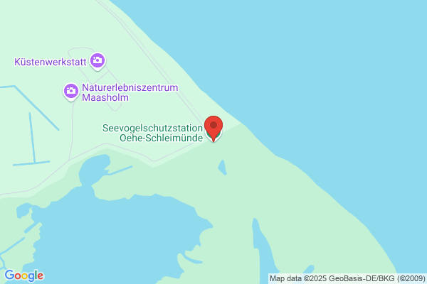 Vogelschutzgebiet Oehe-Schleimünde