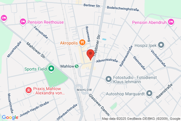 Hundephysiotherapie Veronika Naß