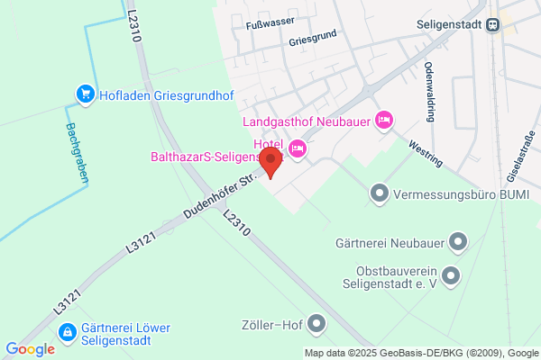Restaurant King Selingenstadt