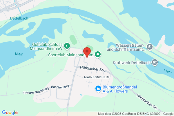 Regedent GmbH