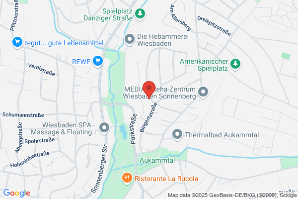 Pfannenstiel P. u. Hotze L.-A. Prof. Dres. med.