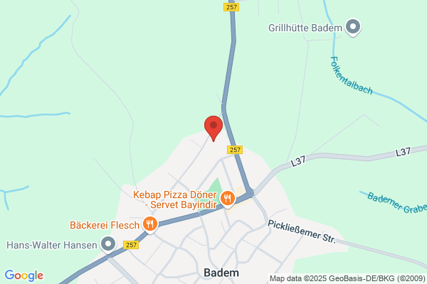 Bins Verputz und Stuck GmbH