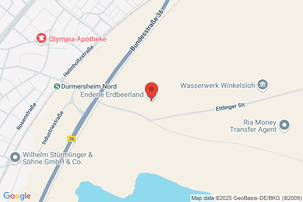 Erdbeerhof Malsch-Neumalsch