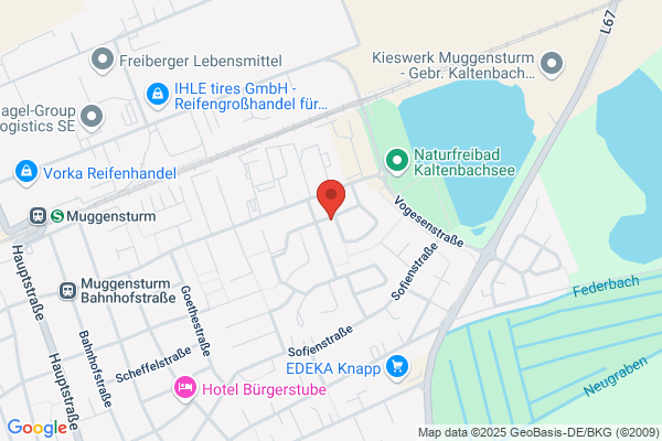 Elke Rupp