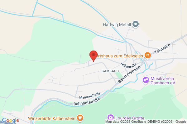 Metz GMS Bau-