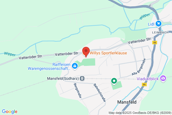 Mansfelder Sportverein 1990 e.V.