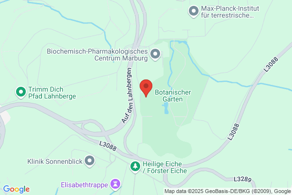 Kindertagesstätte Zappelphilipp