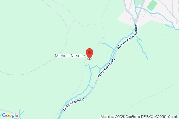 Michael Nitsche