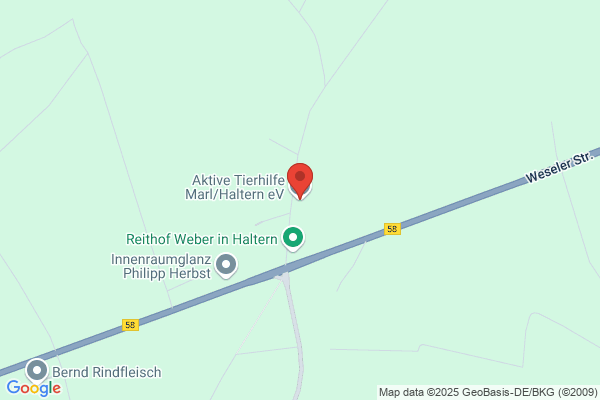 Gnadenhof Arche Noah privater Tierschutz Karin Müller