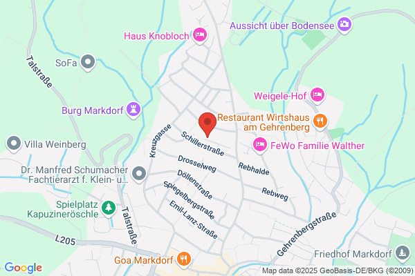 H.-P. Spieler