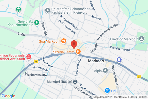 Ernst Reifsteck